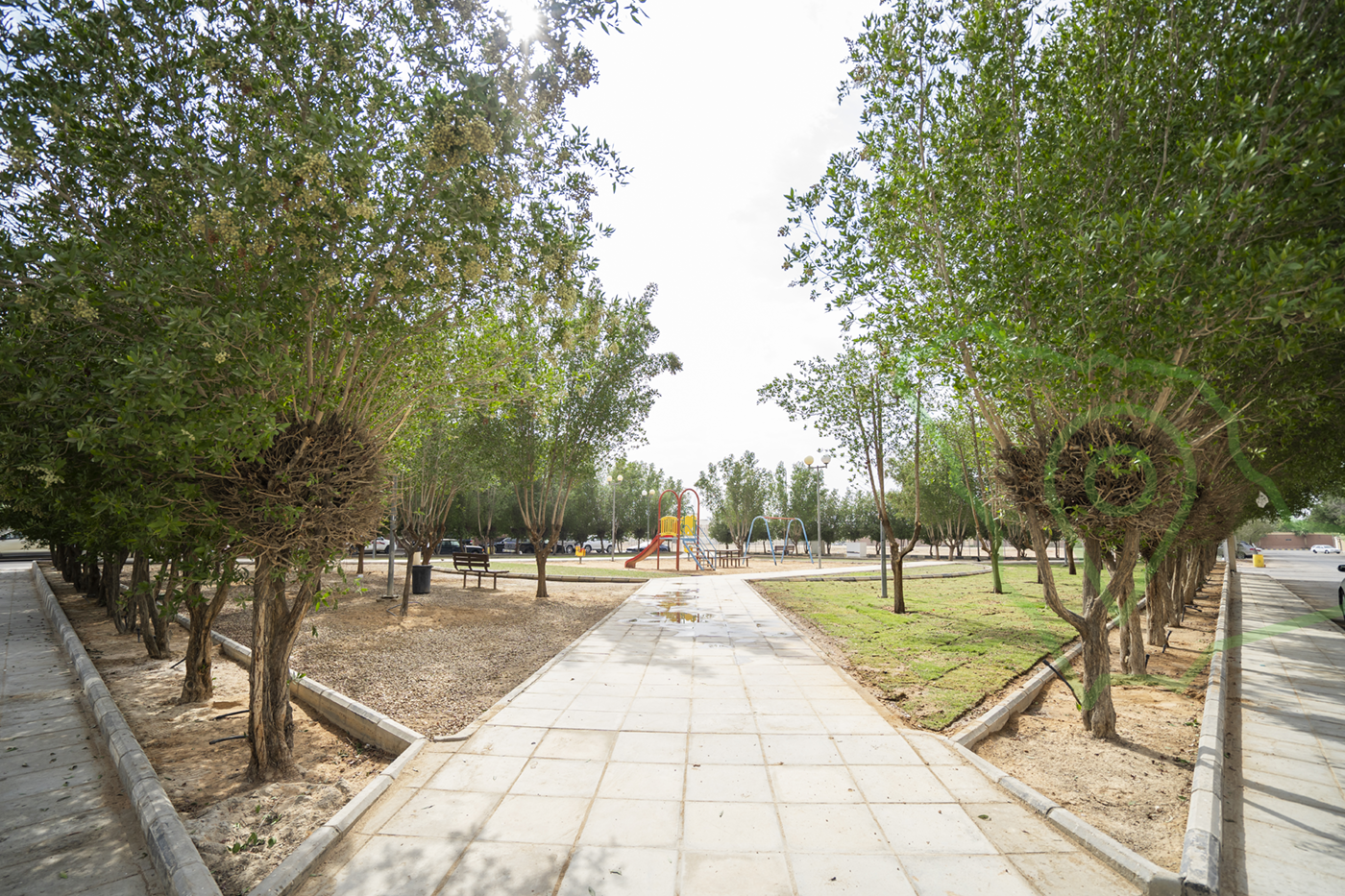 حديقة البسمة
