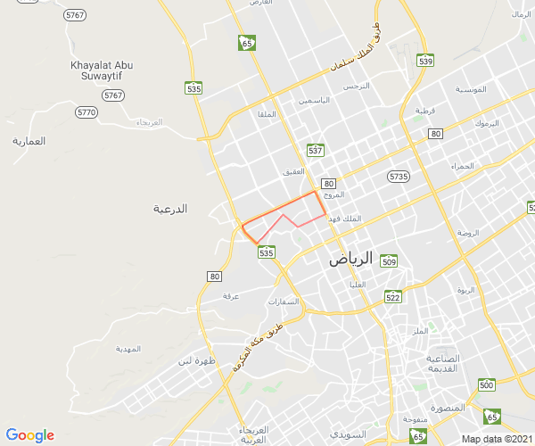 حي النخيل