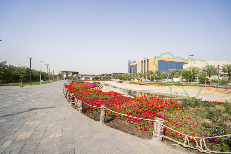 حديقة الزهور بالرياض