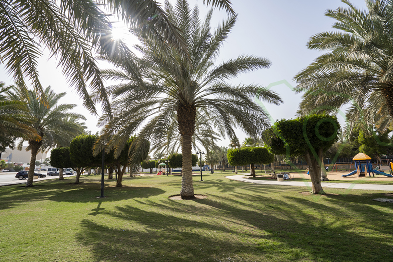 حديقة النخيل