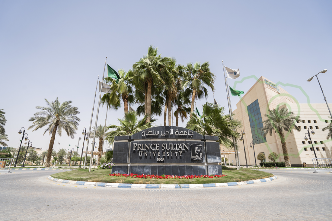 جامعة الأمير سلطان