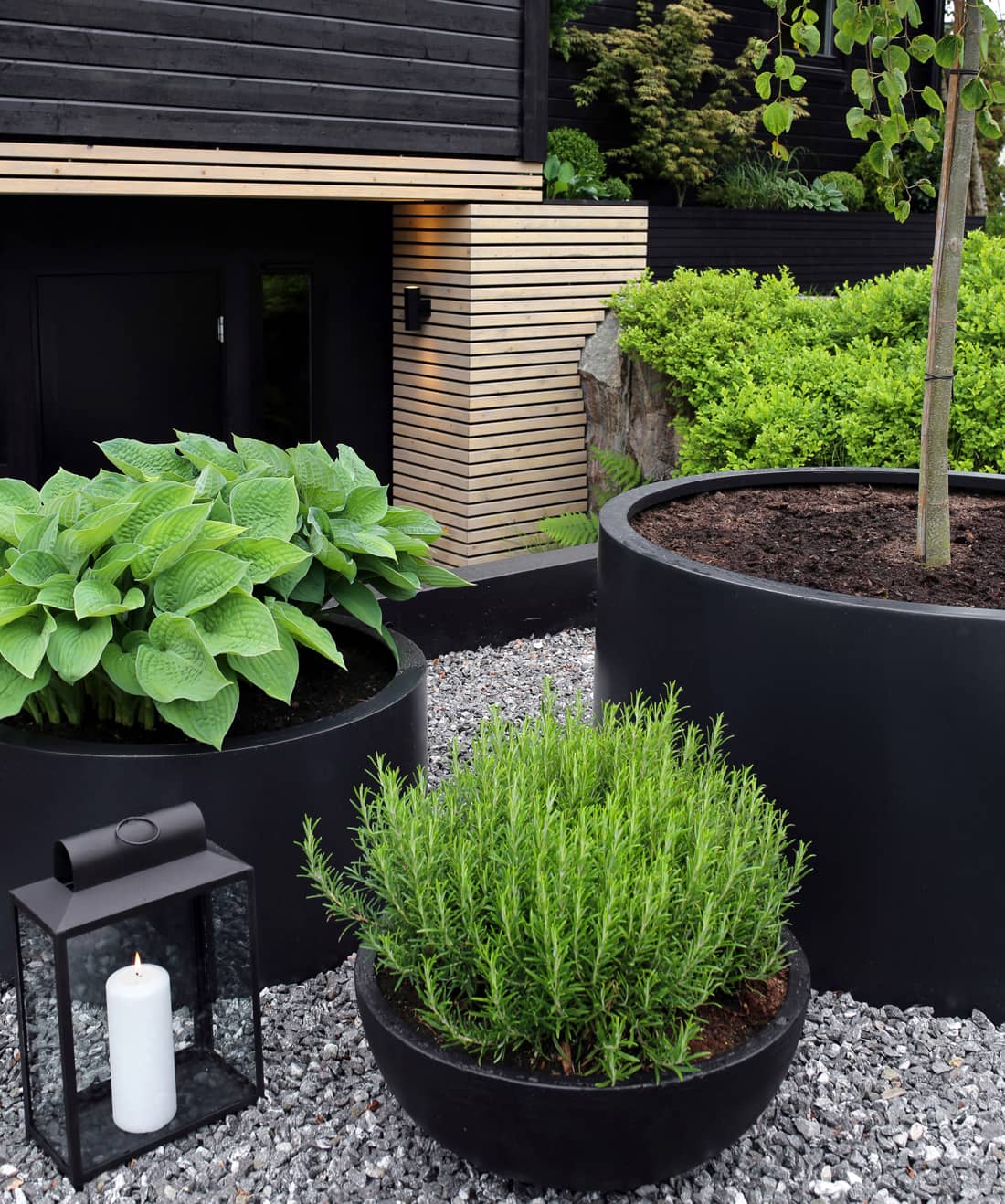Various sized plant pots
