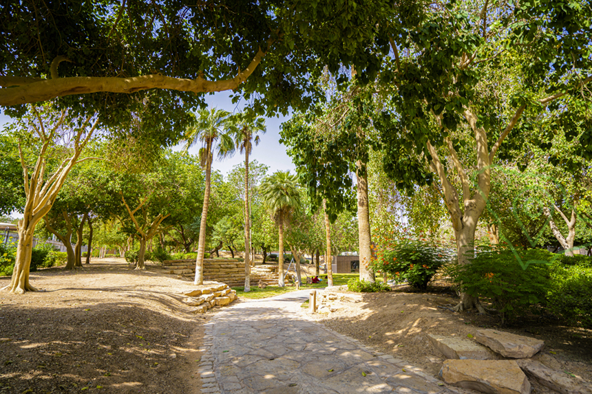 منتزه المتحف الوطني