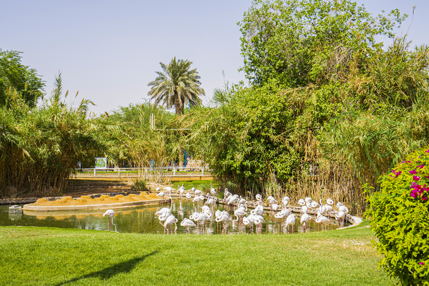 حديقة الحيوانات في الملز