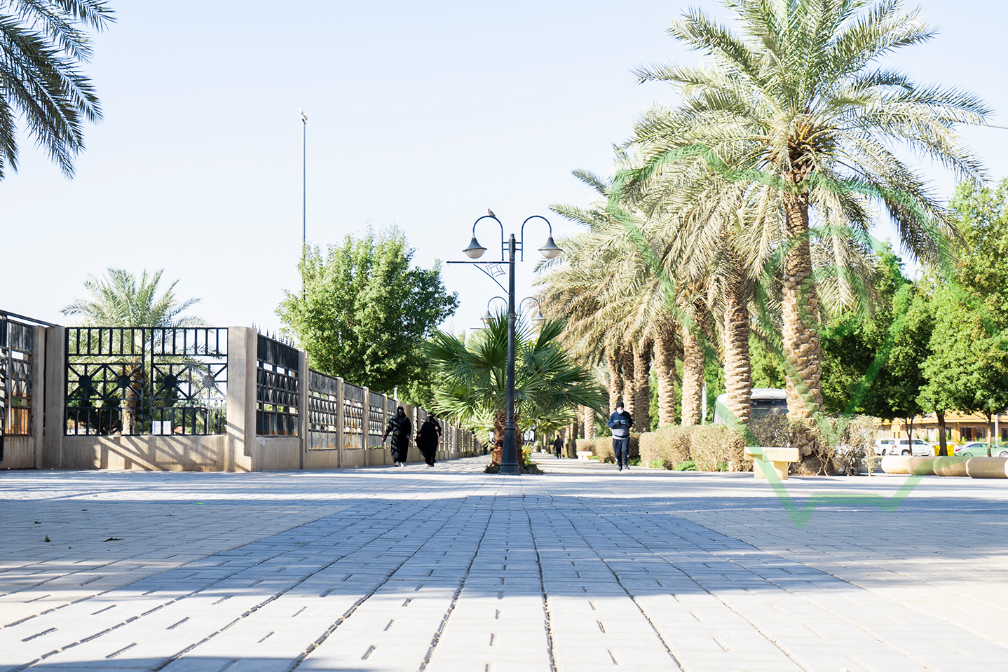ممشى حديقة حي المنصورة