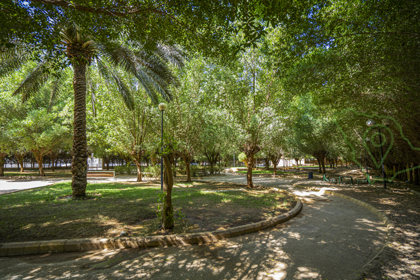 حديقة التعاون