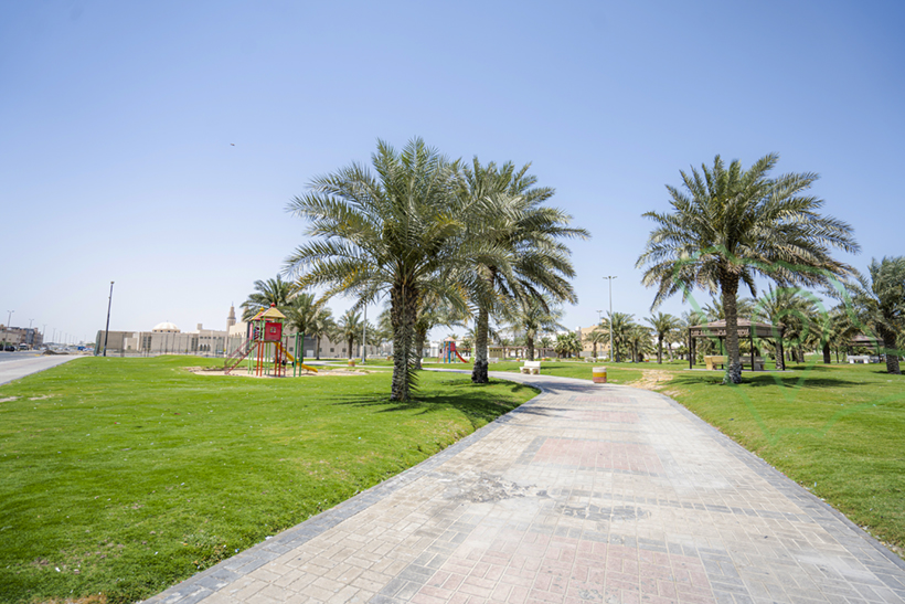 حديقة حي النور