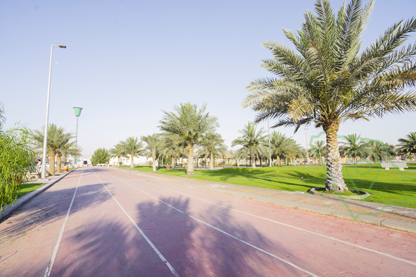 حديقة طيبة 