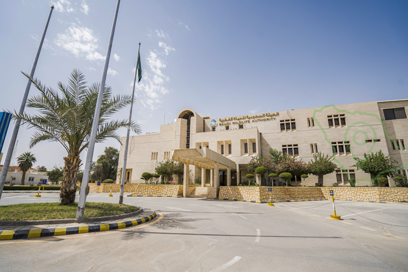 الهيئة السعودية للحياة الفطرية