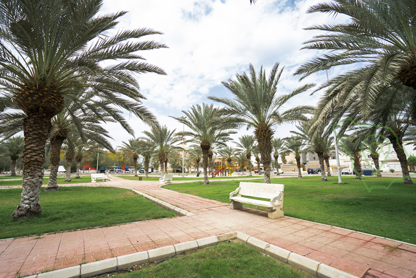 حديقة الطلع النضيد