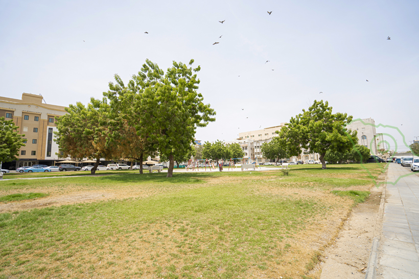 حديقة التباني